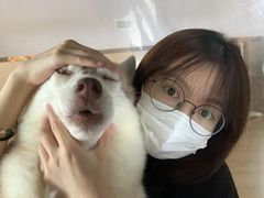 -Husky Go! 哈士奇体验馆·宠物咖啡厅狗咖