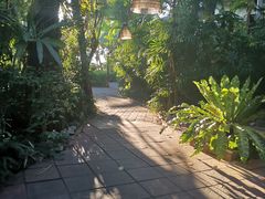 -卷心菜和避孕套餐厅(Pattaya)