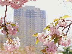 -长白岛森林公园