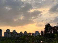 -洋湖国家湿地公园
