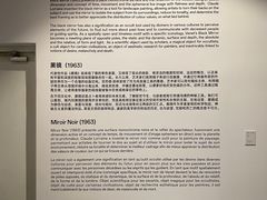 -凤凰中心