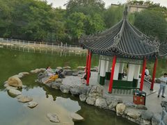 -莲湖公园