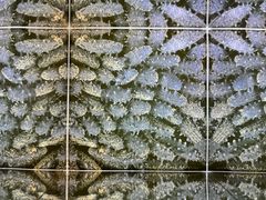 -中国（海南）南海博物馆