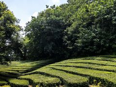 -敬亭山风景名胜区