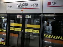 -杨高南路(地铁站)