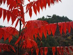 -仙居谷风景区