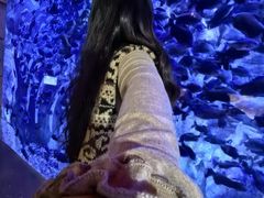 -哈尔滨波塞冬海底世界