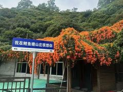 -鲤鱼塘农家山庄