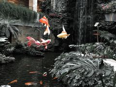 -广州白天鹅宾馆