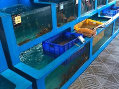 水产区-老六海鲜城