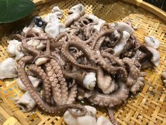 -沈阳和平艾美酒店新食谱西餐厅