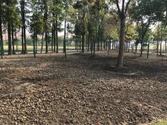 -歌斐颂巧克力小镇