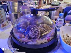 -半岛听涛蒸汽海鲜自助(K11店)