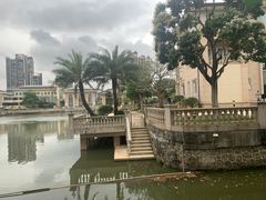 -顺峰山公园