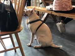 -Egg•Allday Brunch(襄阳北路店)