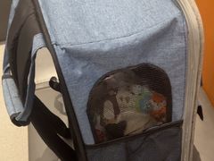 -半岛宠物医院24小时(科华中路店)