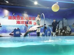 -重庆欢乐海底世界