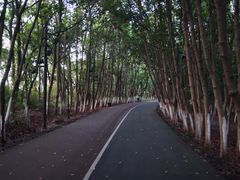 -艾溪湖湿地公园