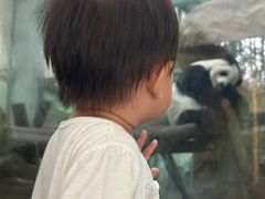 -成都动物园