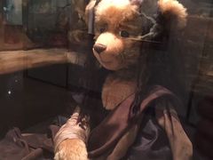 -济州岛泰迪熊博物馆