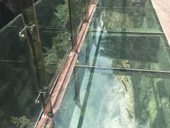 -雁荡山风景名胜区-小龙湫