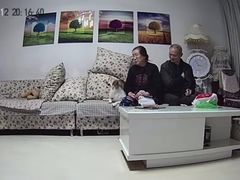 -波姐宠物家庭寄养