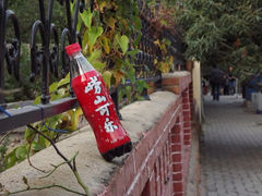 iphone_upload_pic-八大关景区