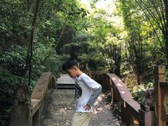 -凤栖山