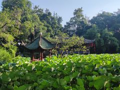 -房湖公园