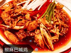 -红辣椒·川菜·火锅(大洋中心店)