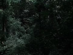 -九曜山