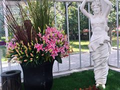 -上海鲜花港