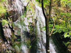 -藏龙百瀑风景区