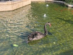 -行者书屋大堂吧 ·下午茶(南京圣和府邸酒店)