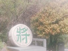 -苍山感通索道
