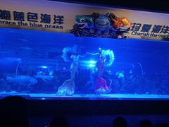 -成都浩海立方海洋公园