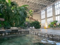 -中家鑫园温泉酒店鑫悦汤泉