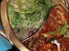 -房子红了鱼豆花重庆老火锅(广厦学院店)