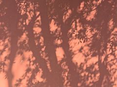 -南岳衡山风景名胜区-南岳大庙