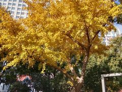 -兰溪青年公园
