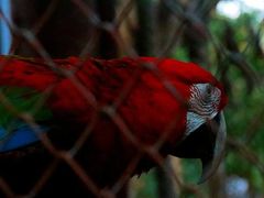 -清迈夜间动物园