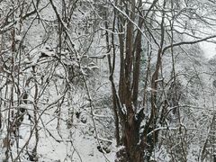 -九峰山