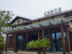 -新木器时代餐厅(太湖新天地店)