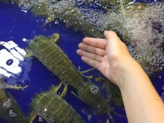 -芭提雅海鲜市场