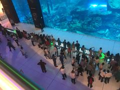 -迪拜水族馆及水下动物园