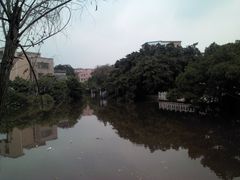-小洲村