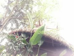 -海兰云天度假区温泉