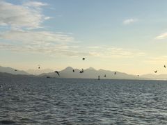 -深圳湾公园(南山区)