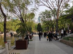 -文瀛公园