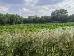 -三忘湖 SWANSEEN(柳荫公园店)